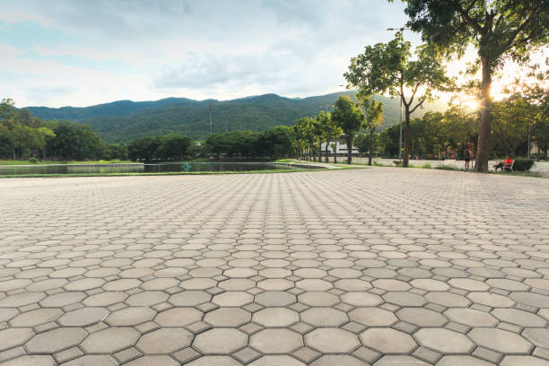 Best Residential Driveway Paver Services  in Chester, CA